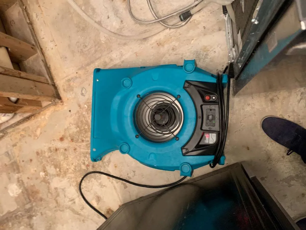 Air mover drying equipment for Mold Remediation & Removal in Dunlap
